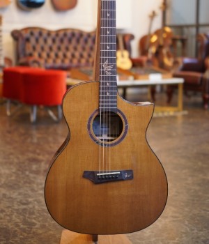 고퍼우드 i320RCE 고퍼우드기타