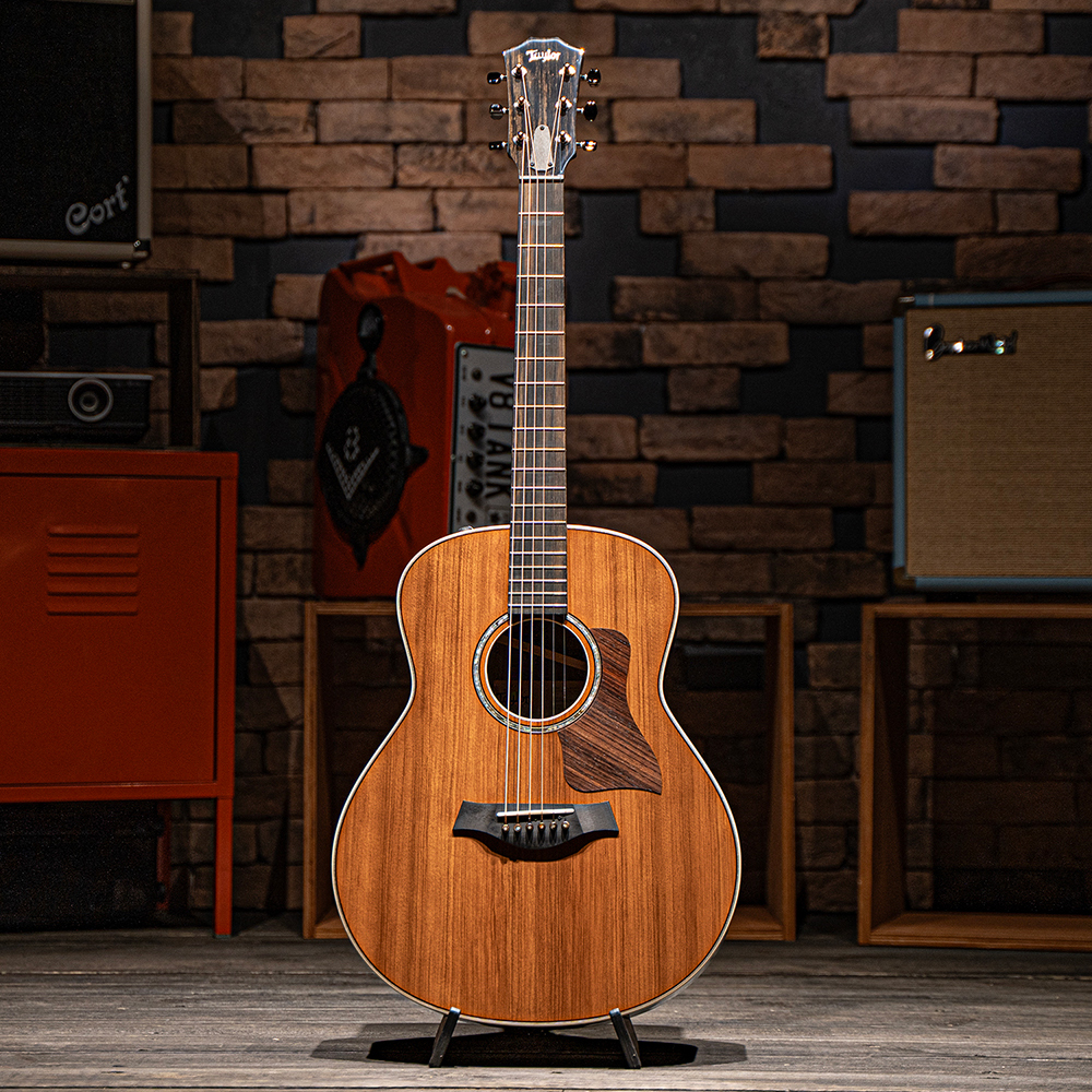 테일러 Taylor GT811e LTD