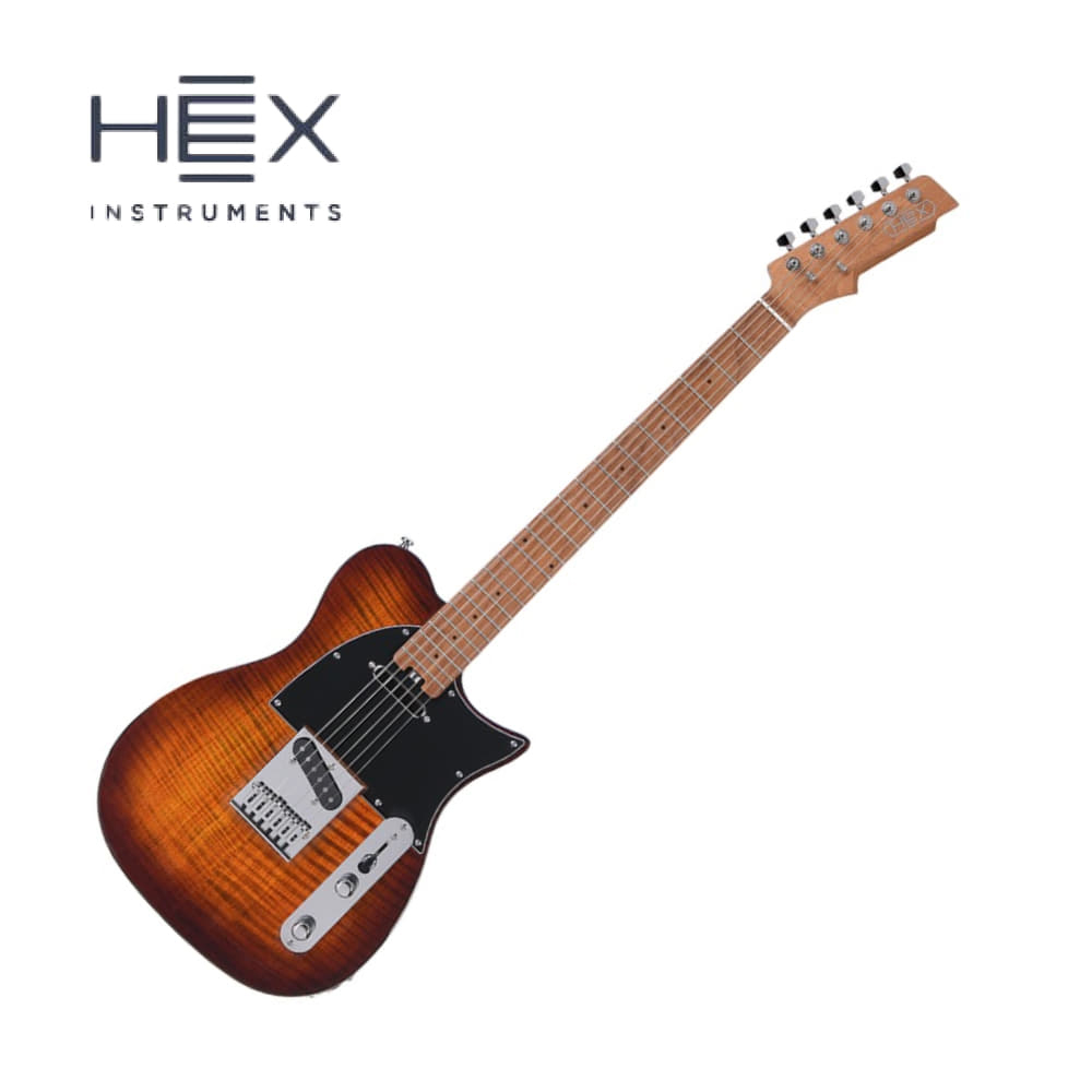 헥스 일렉기타 HEX T200 SG/VB 텔레캐스터