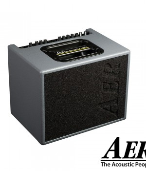 AER 컴팩트 60/4 Gray 어쿠스틱 앰프 Compact 60/4